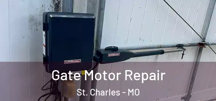 Gate Motor Repair St. Charles - MO