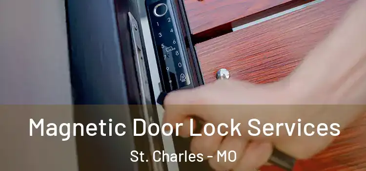Magnetic Door Lock Services St. Charles - MO