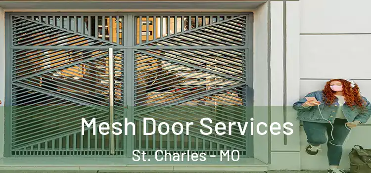 Mesh Door Services St. Charles - MO