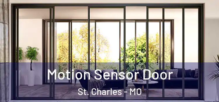 Motion Sensor Door St. Charles - MO