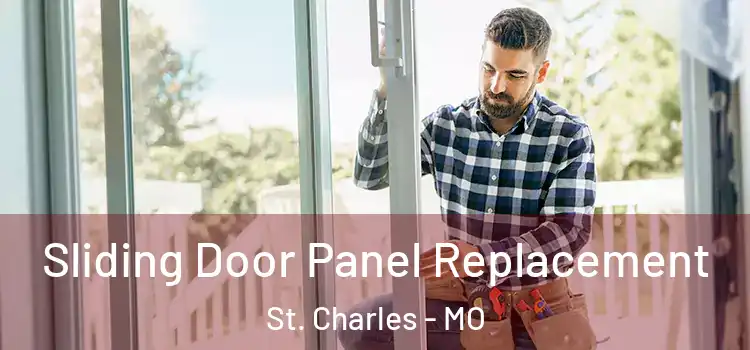  Sliding Door Panel Replacement St. Charles - MO